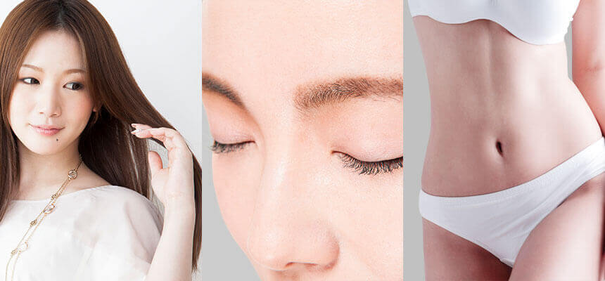 毛の働きと仕組み