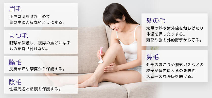 毛は皮膚や器官を保護している