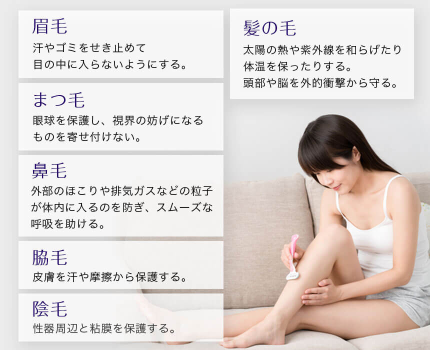 毛は皮膚や器官を保護している