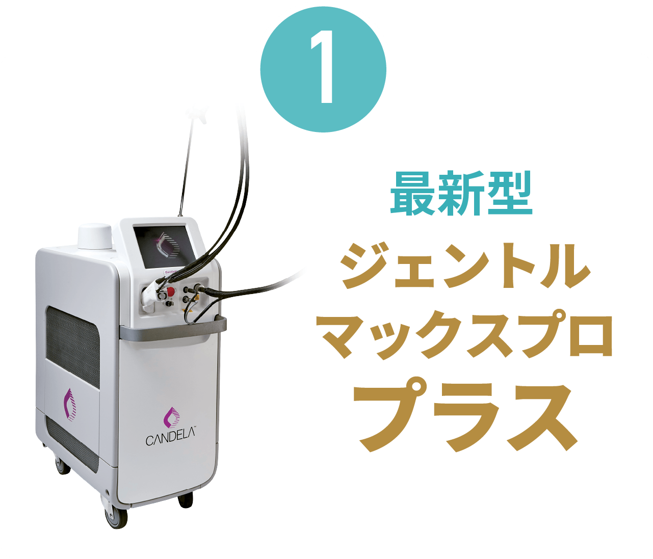 1 最新型ジェントルマックスプロプラス(全範囲確約)