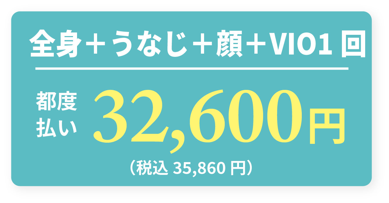 全身＋うなじ＋顔＋VIO 1回 都度払い32,600円（税込35,860円）