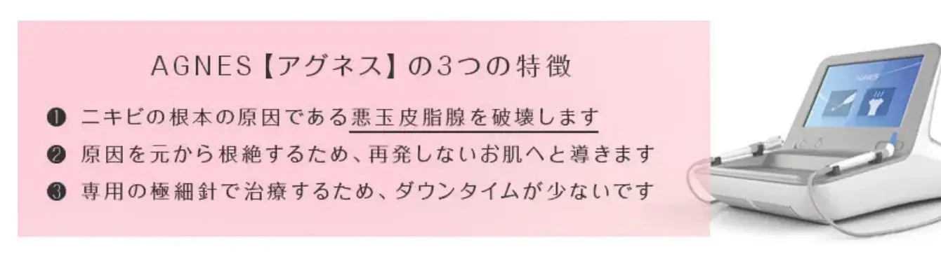 BEAUTY SKIN CLINIC（ビューティースキンクリニック） 新AGNES（アグネス）