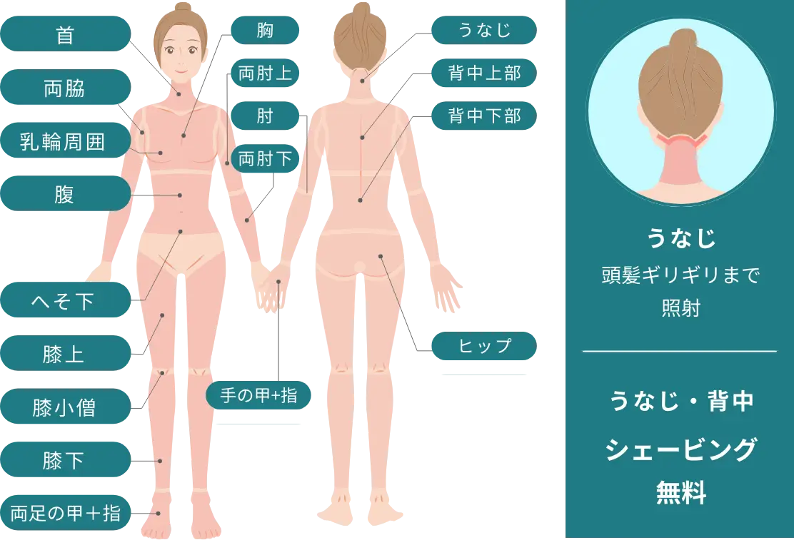BEAUTY SKIN CLINIC（ビューティースキンクリニック） オールマシンセレクト全身+うなじ 医療脱毛4回完了プラン