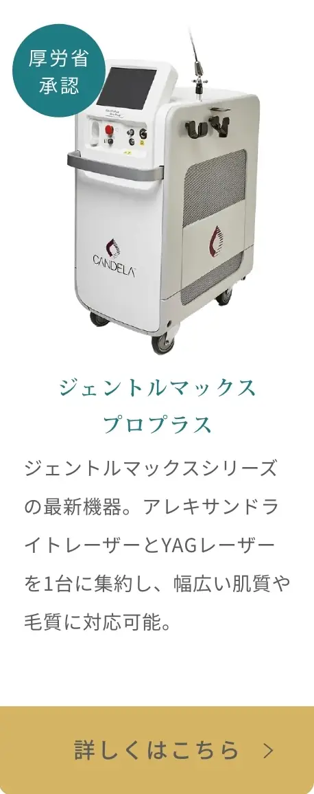 BEAUTY SKIN CLINIC（ビューティースキンクリニック） 脚医療脱毛セット