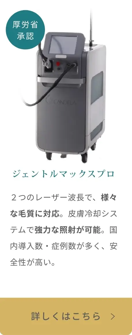 BEAUTY SKIN CLINIC（ビューティースキンクリニック） 脚医療脱毛セット