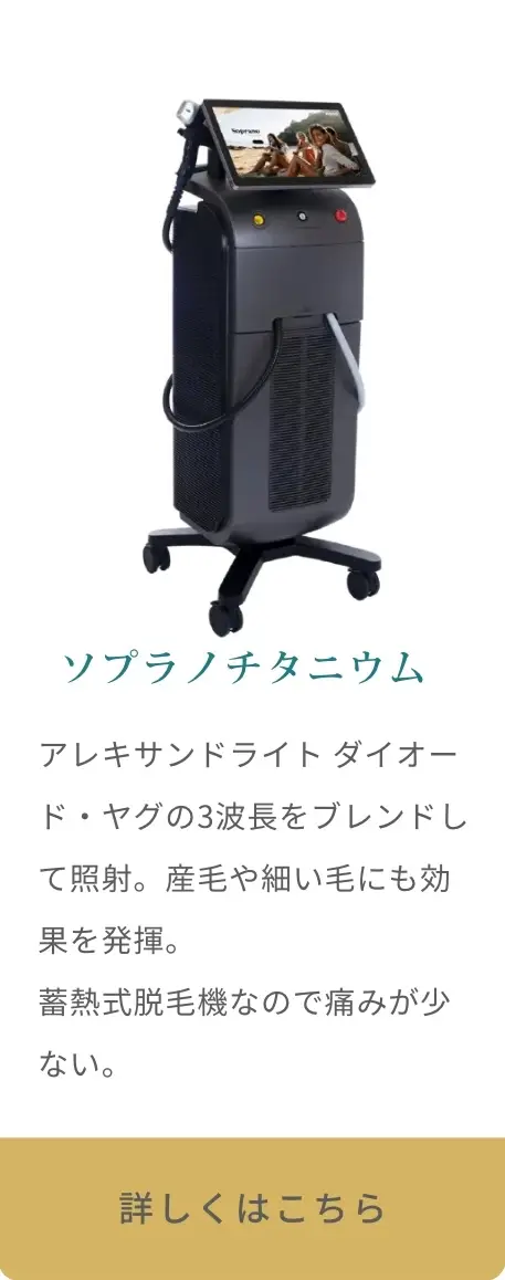 BEAUTY SKIN CLINIC（ビューティースキンクリニック） 脚医療脱毛セット