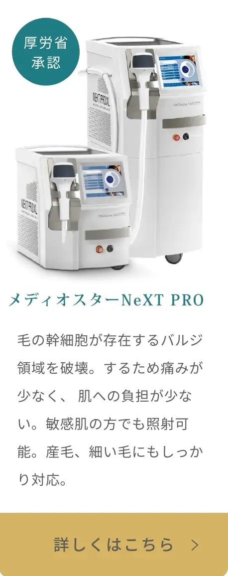 BEAUTY SKIN CLINIC（ビューティースキンクリニック） 脚医療脱毛セット