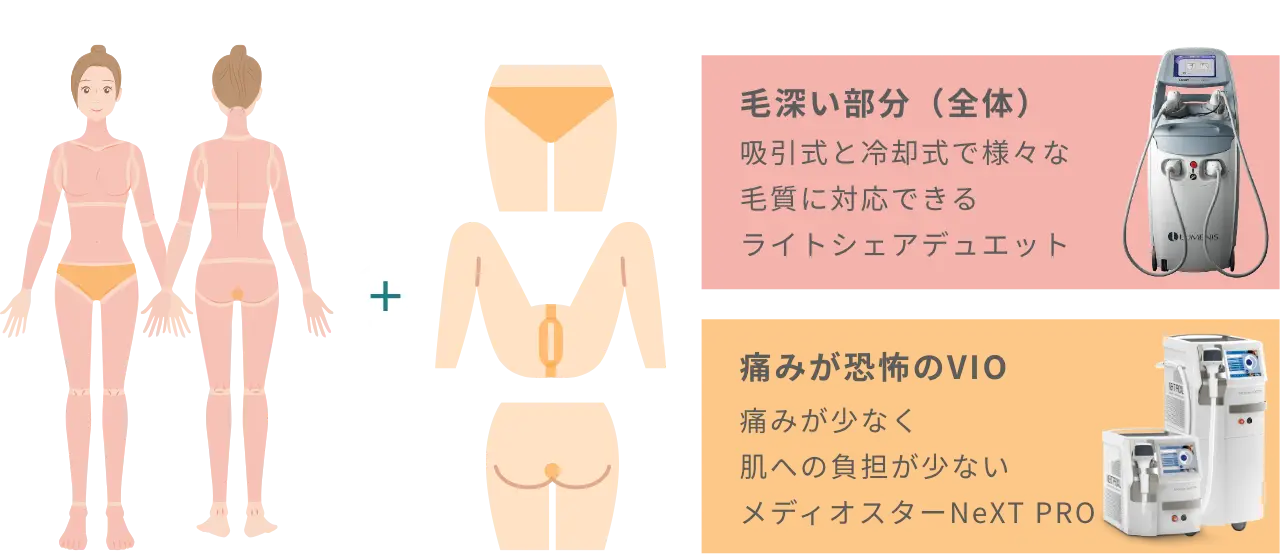 BEAUTY SKIN CLINIC（ビューティースキンクリニック） オールマシンセレクト全身+うなじ 医療脱毛4回完了プラン