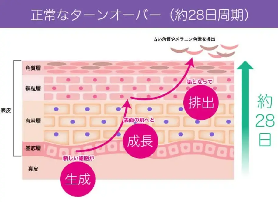 BEAUTY SKIN CLINIC（ビューティースキンクリニック） ケミカルピーリング