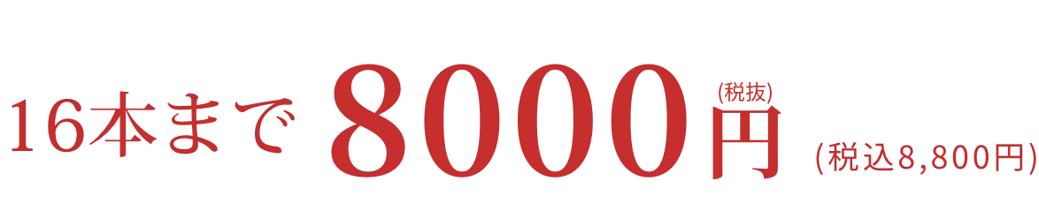 BEAUTY SKIN CLINIC（ビューティースキンクリニック） ニードル脱毛（医療針脱毛）