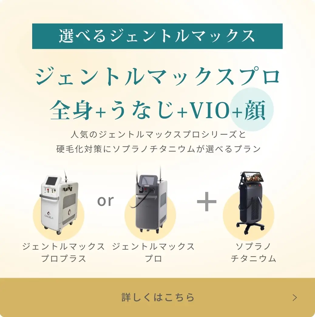 BEAUTY SKIN CLINIC（ビューティースキンクリニック） 全顔医療脱毛セット