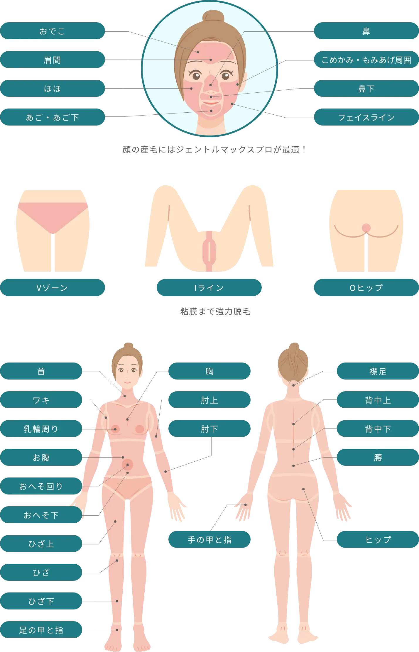 BEAUTY SKIN CLINIC（ビューティースキンクリニック） 最新型ジェントルマックスプロプラス