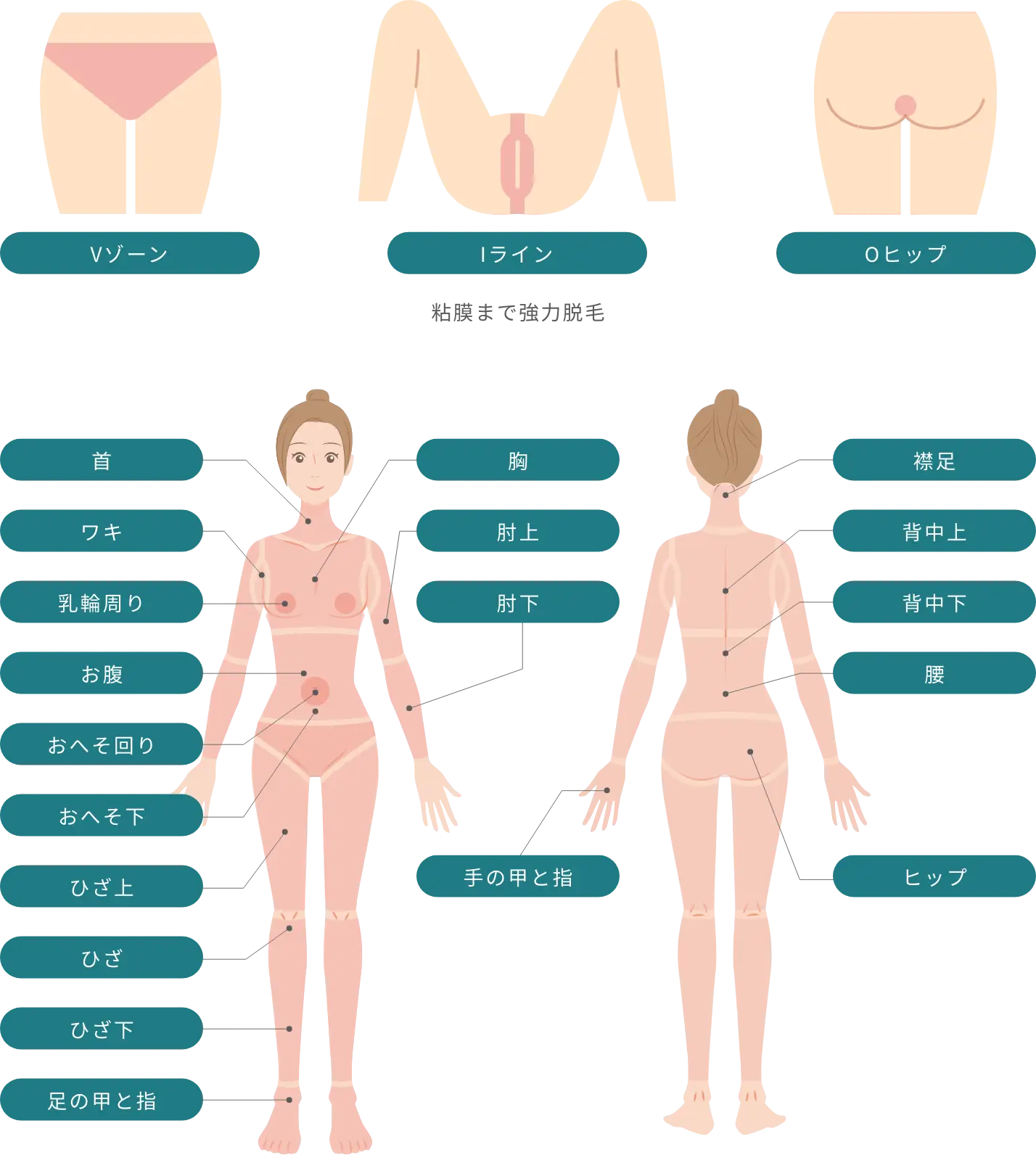 BEAUTY SKIN CLINIC（ビューティースキンクリニック） 最新型ジェントルマックスプロプラス