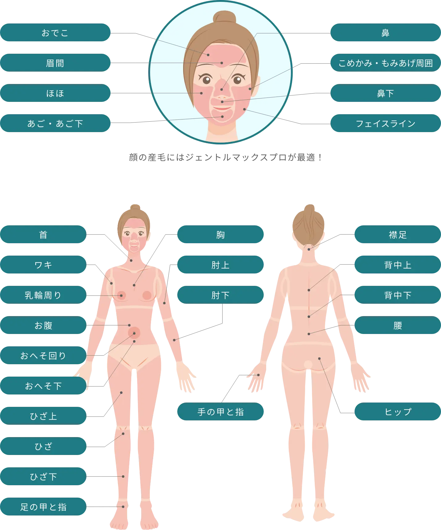 BEAUTY SKIN CLINIC（ビューティースキンクリニック） 最新型ジェントルマックスプロプラス