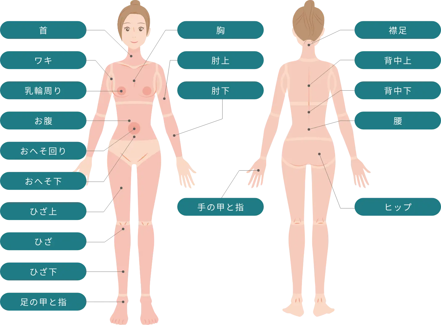 BEAUTY SKIN CLINIC（ビューティースキンクリニック） 最新型ジェントルマックスプロプラス