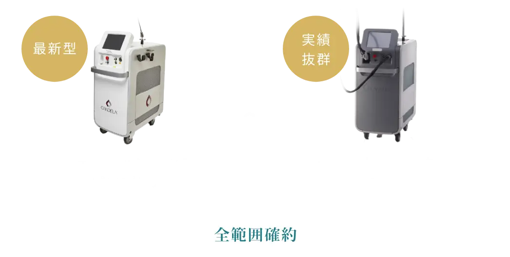 BEAUTY SKIN CLINIC（ビューティースキンクリニック） 最新型ジェントルマックスプロプラス