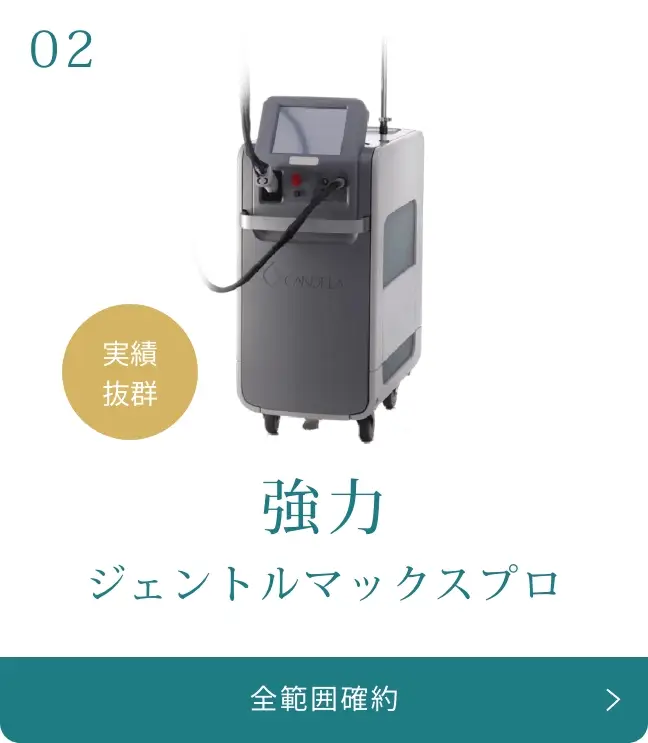 BEAUTY SKIN CLINIC(ビューティースキンクリニック) 最新型ジェントルマックスプロプラス