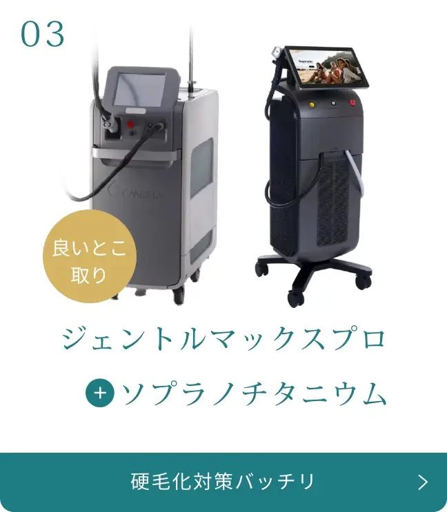 BEAUTY SKIN CLINIC(ビューティースキンクリニック) 最新型ジェントルマックスプロプラス