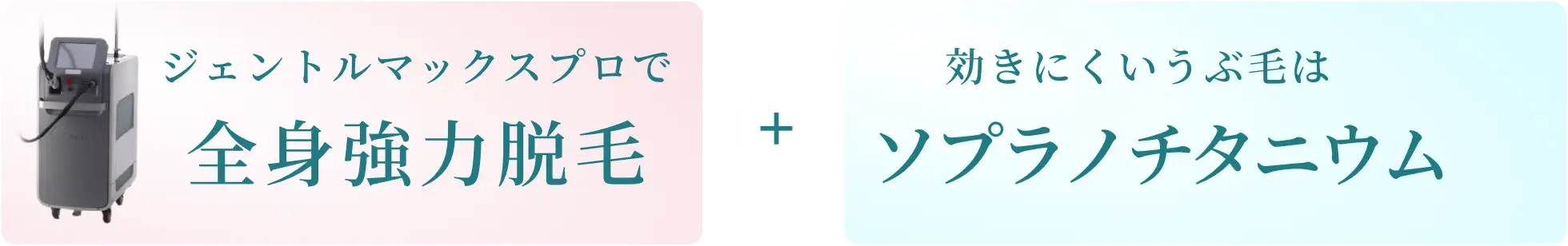 BEAUTY SKIN CLINIC（ビューティースキンクリニック） 最新型ジェントルマックスプロプラス