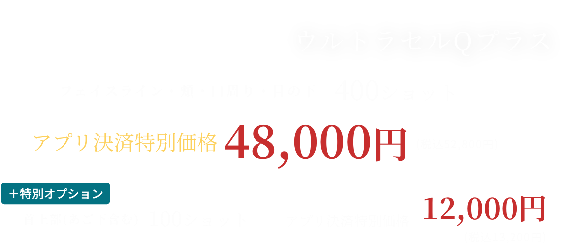 BEAUTY SKIN CLINIC（ビューティースキンクリニック） HIFU ウルトラセルQプラス