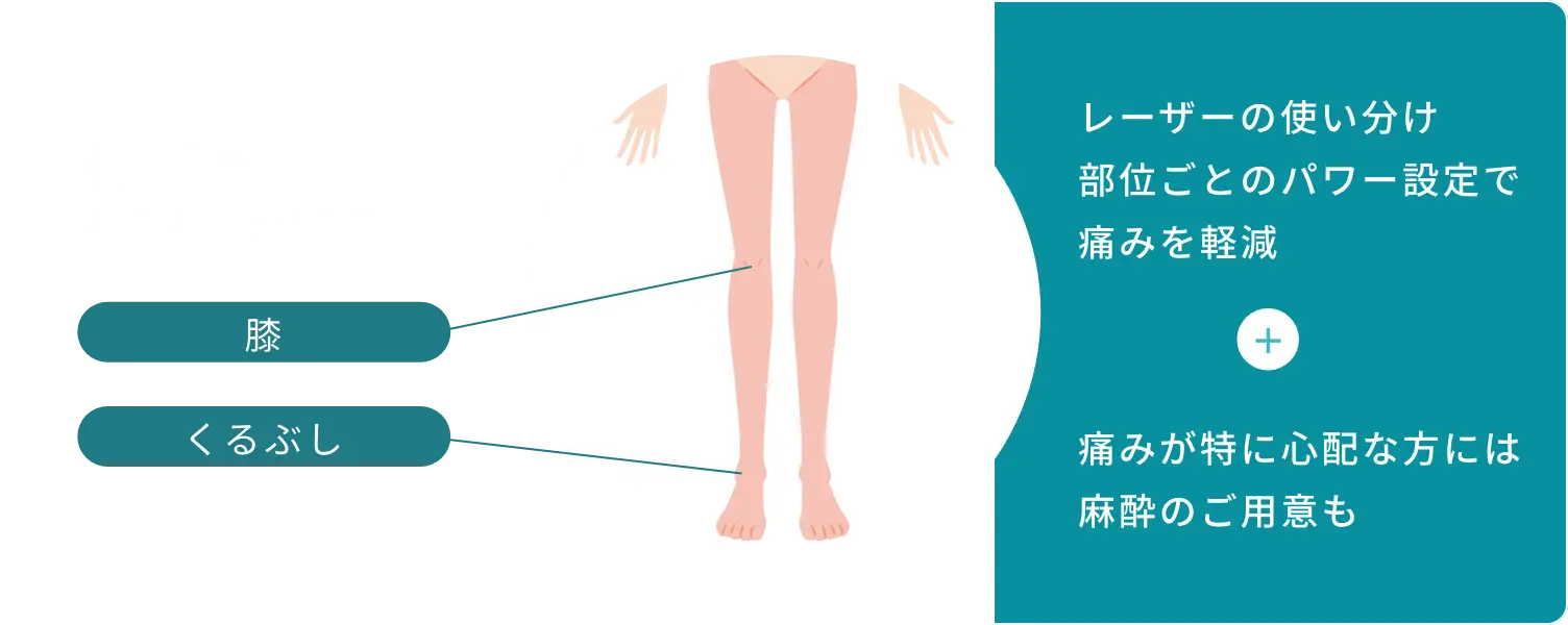 BEAUTY SKIN CLINIC（ビューティースキンクリニック） 脚医療脱毛セット