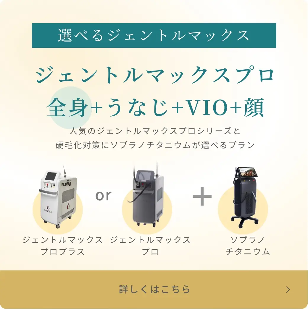 BEAUTY SKIN CLINIC（ビューティースキンクリニック） 脚医療脱毛セット