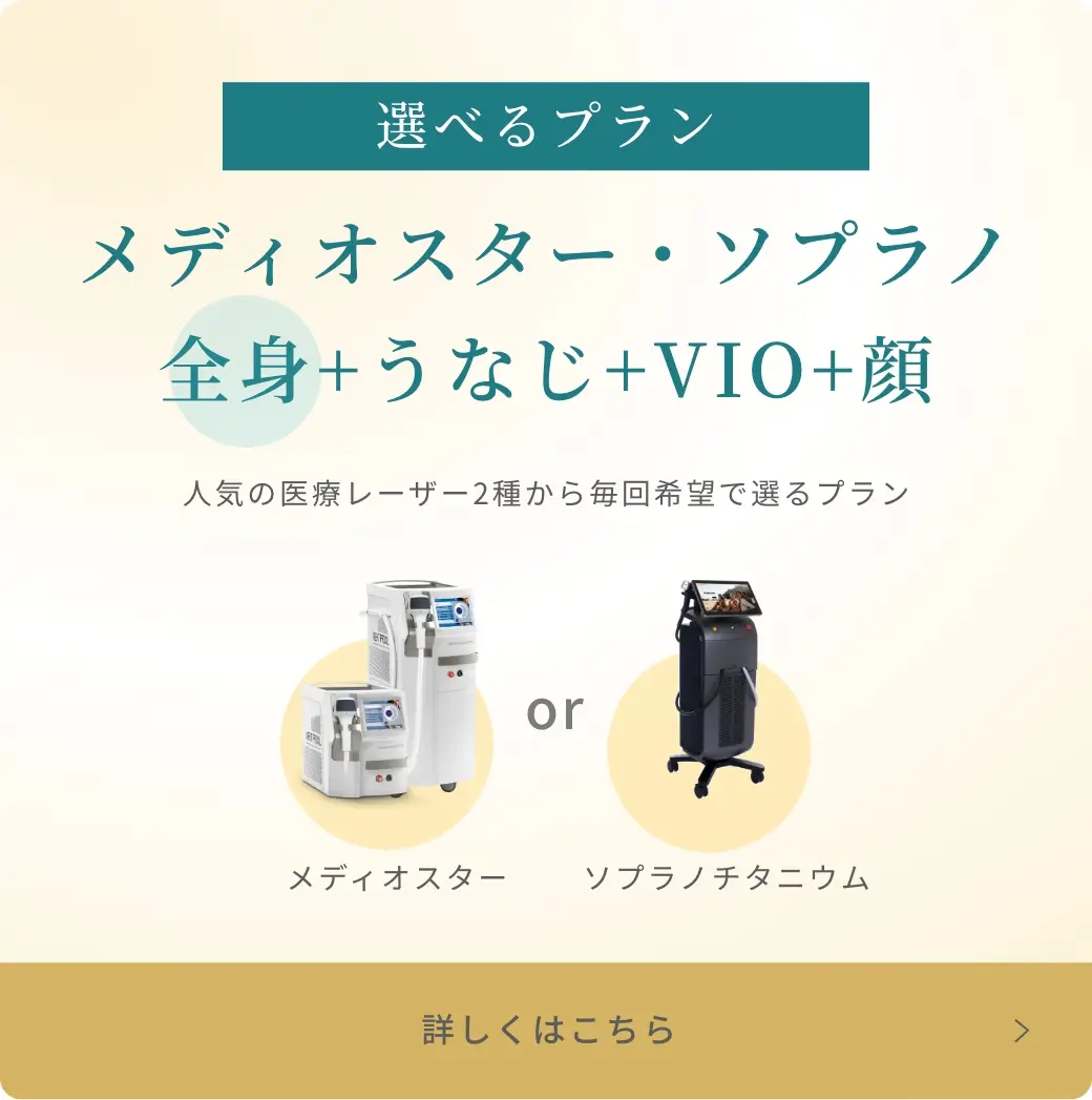 BEAUTY SKIN CLINIC（ビューティースキンクリニック） 脚医療脱毛セット