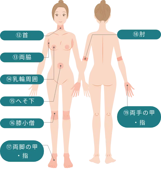 BEAUTY SKIN CLINIC（ビューティースキンクリニック） パーツ別医療脱毛