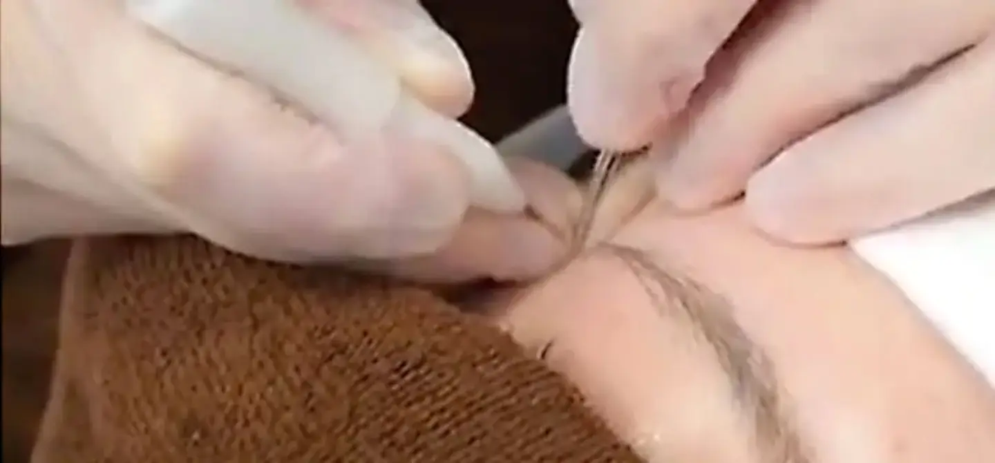 BEAUTY SKIN CLINIC（ビューティースキンクリニック） 当院が選ばれる理由