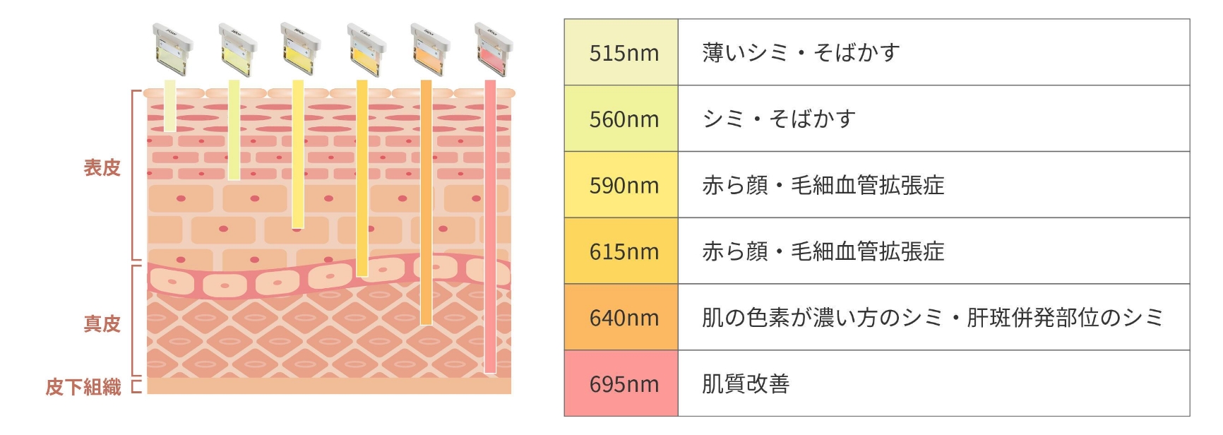 BEAUTY SKIN CLINIC（ビューティースキンクリニック） フォトフェイシャル ILP治療