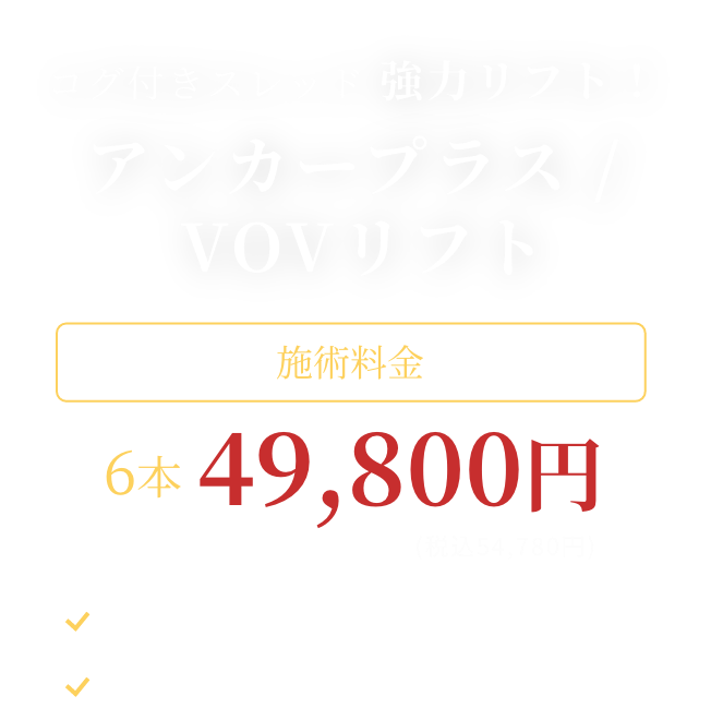 BEAUTY SKIN CLINIC（ビューティースキンクリニック） 糸リフト