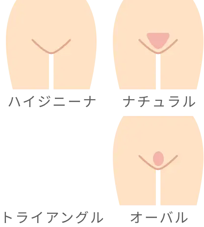 BEAUTY SKIN CLINIC（ビューティースキンクリニック） VIOパーフェクト医療脱毛セット