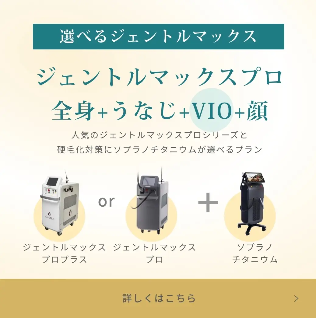 BEAUTY SKIN CLINIC（ビューティースキンクリニック） VIOパーフェクト医療脱毛セット