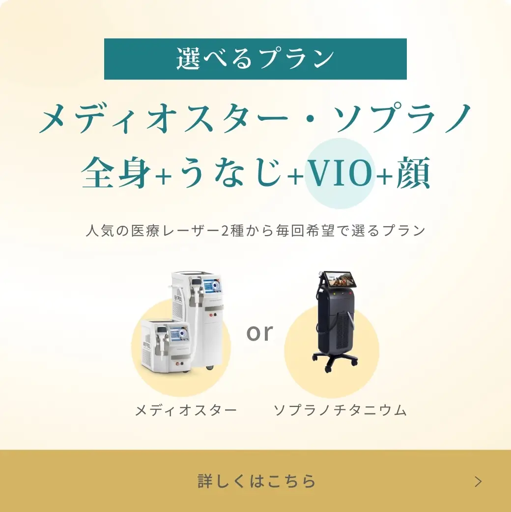 BEAUTY SKIN CLINIC（ビューティースキンクリニック） VIOパーフェクト医療脱毛セット